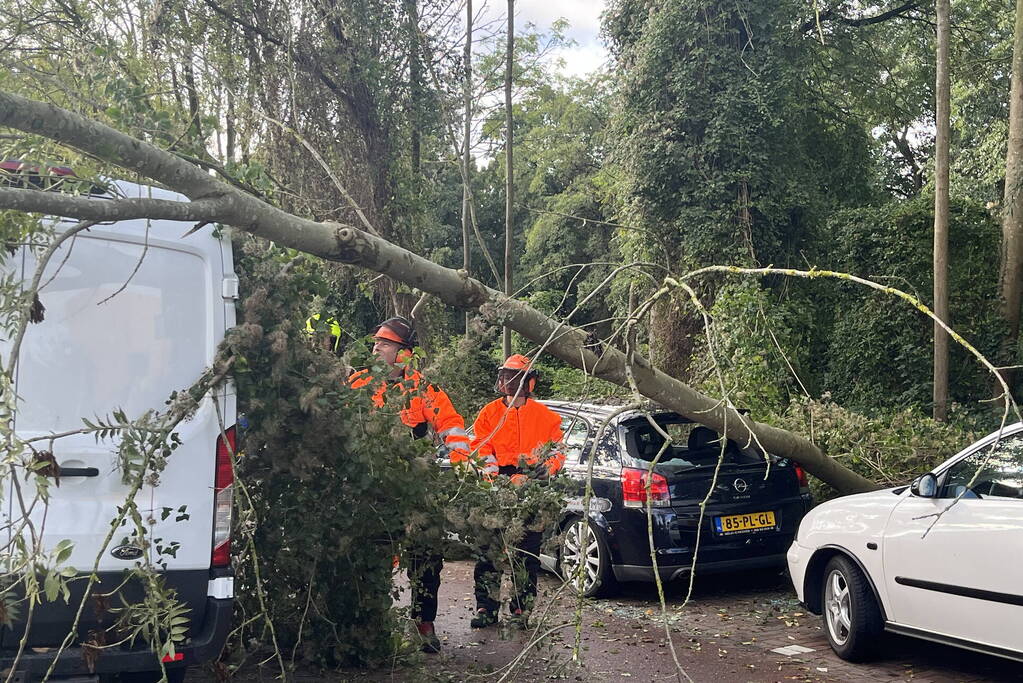 Auto beschadigd door omgevallen boom