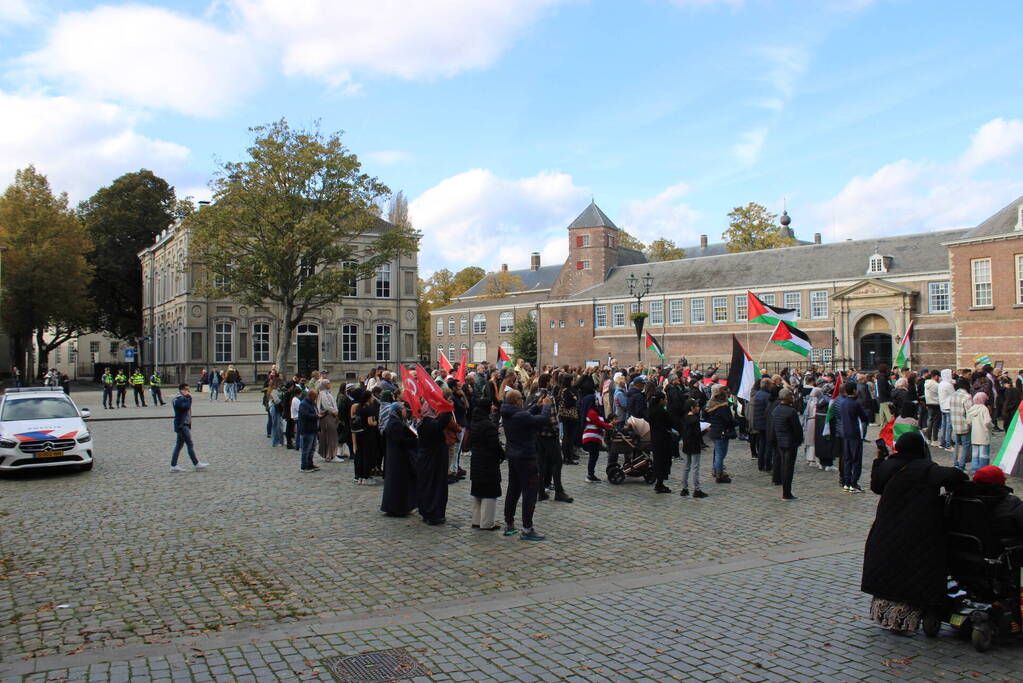 Pro Palestina demonstratie trekt veel mensen