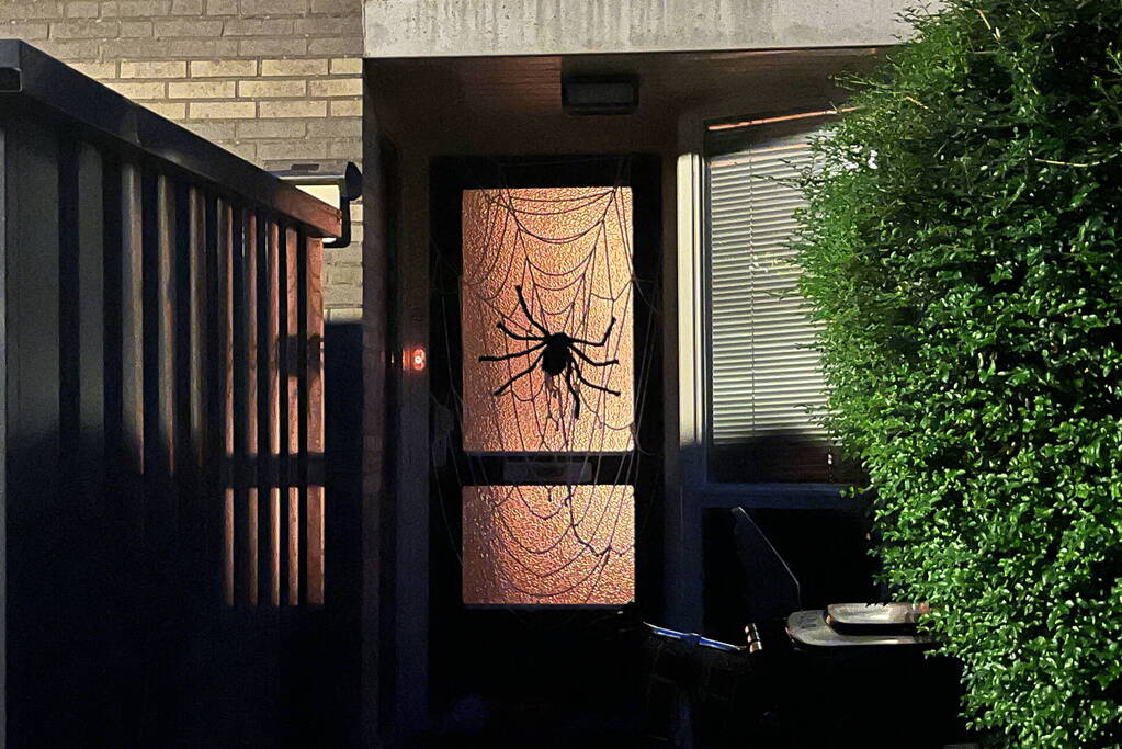 Veel mensen de straat op voor enge Halloweentocht