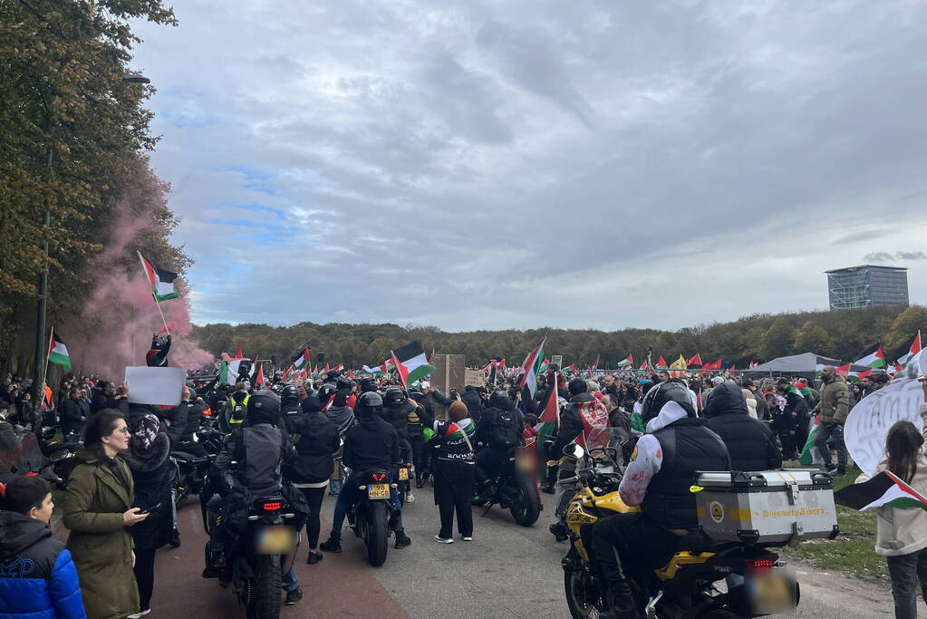 Grote opkomst pro-palestina demonstratie op het Malieveld