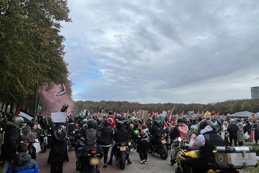 Grote opkomst pro-palestina demonstratie op het Malieveld