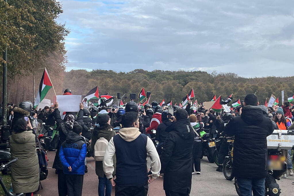 Grote opkomst pro-palestina demonstratie op het Malieveld