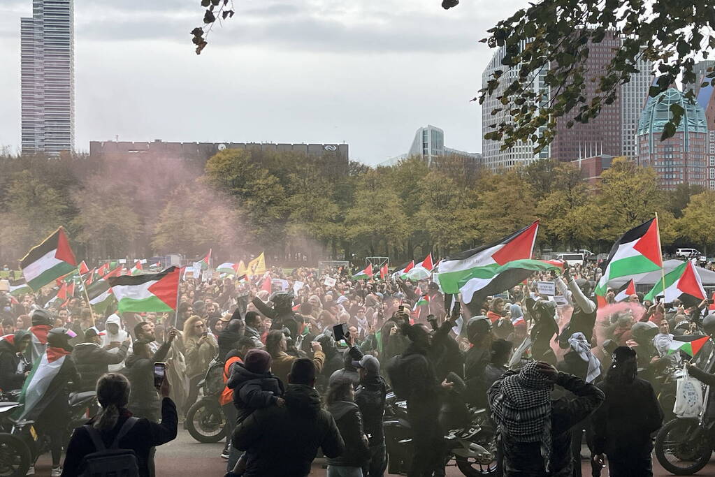 Grote opkomst pro-palestina demonstratie op het Malieveld