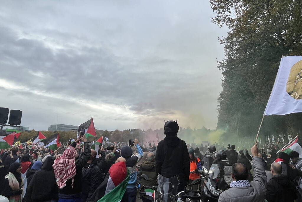 Grote opkomst pro-palestina demonstratie op het Malieveld