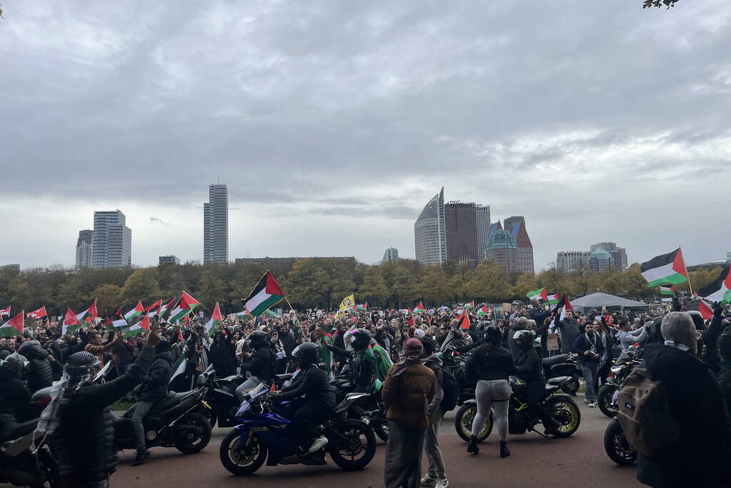 Grote opkomst pro-palestina demonstratie op het Malieveld