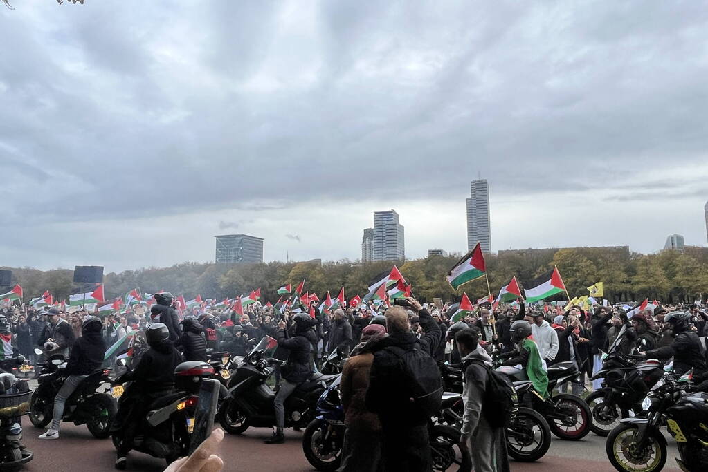 Grote opkomst pro-palestina demonstratie op het Malieveld