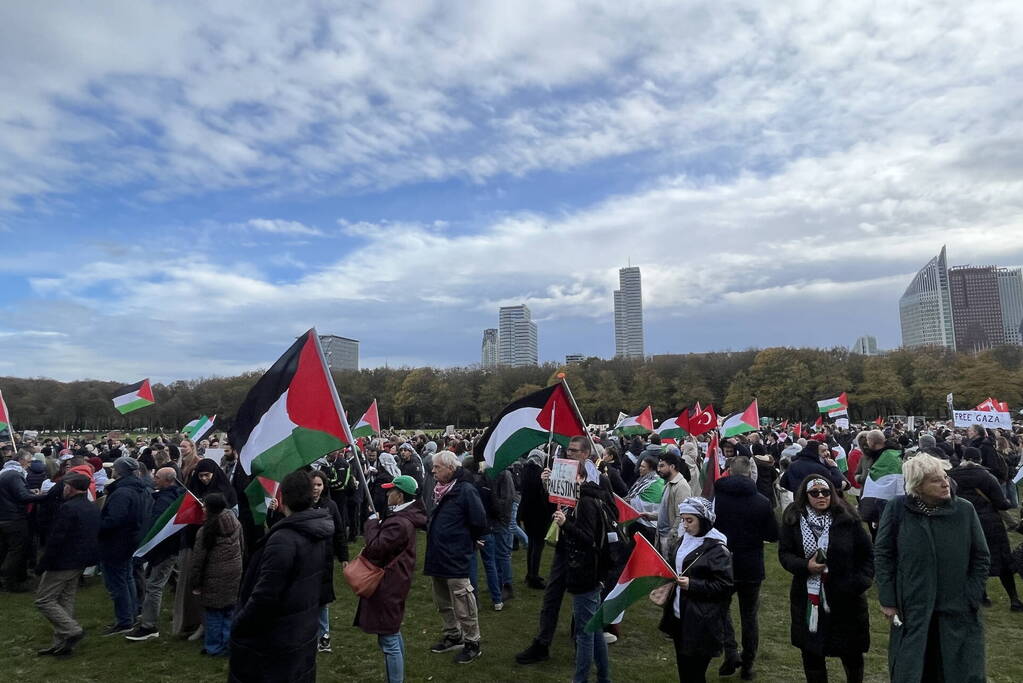 Grote opkomst pro-palestina demonstratie op het Malieveld