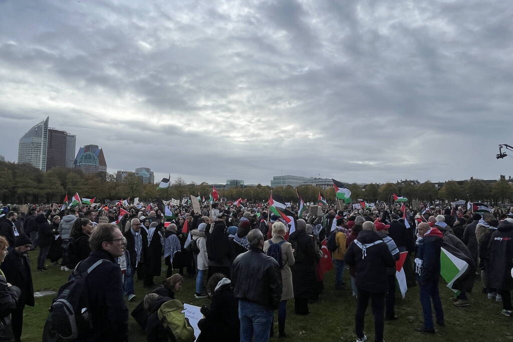 Grote opkomst pro-palestina demonstratie op het Malieveld