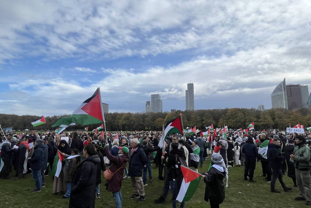 Grote opkomst pro-palestina demonstratie op het Malieveld