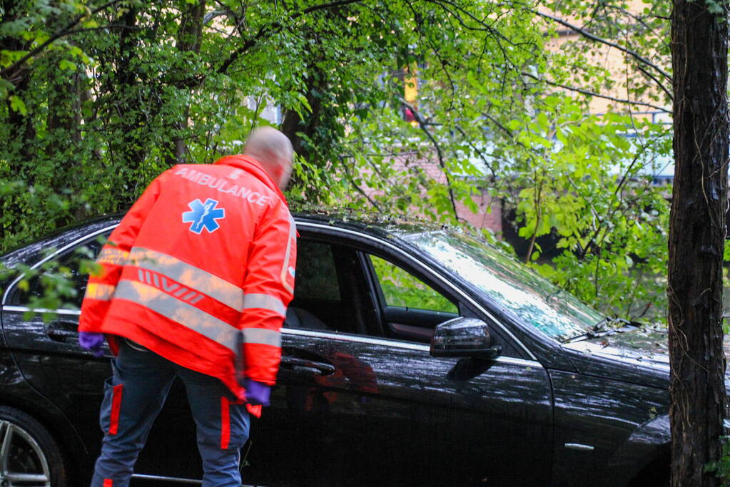 Automobilist raakt van de weg en belandt in bosschage