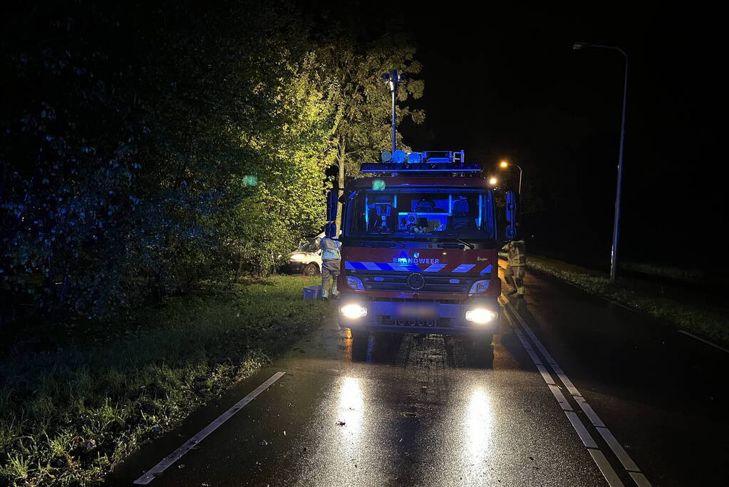 Ravage en beknelling nadat bus in boom boort