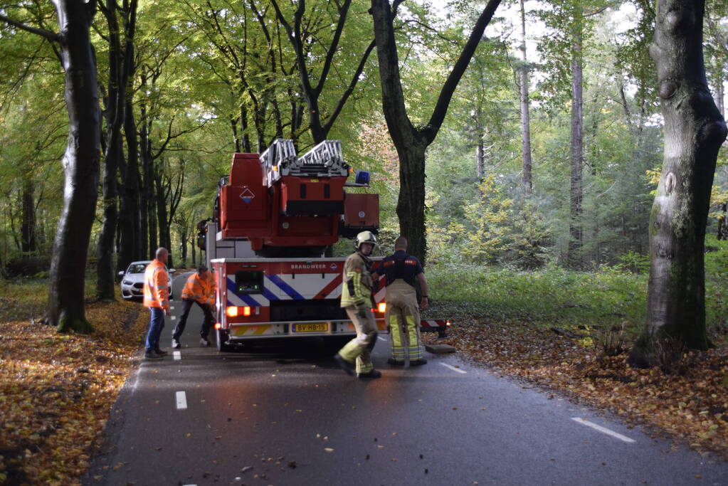 Brandweer ingezet voor loshangende tak