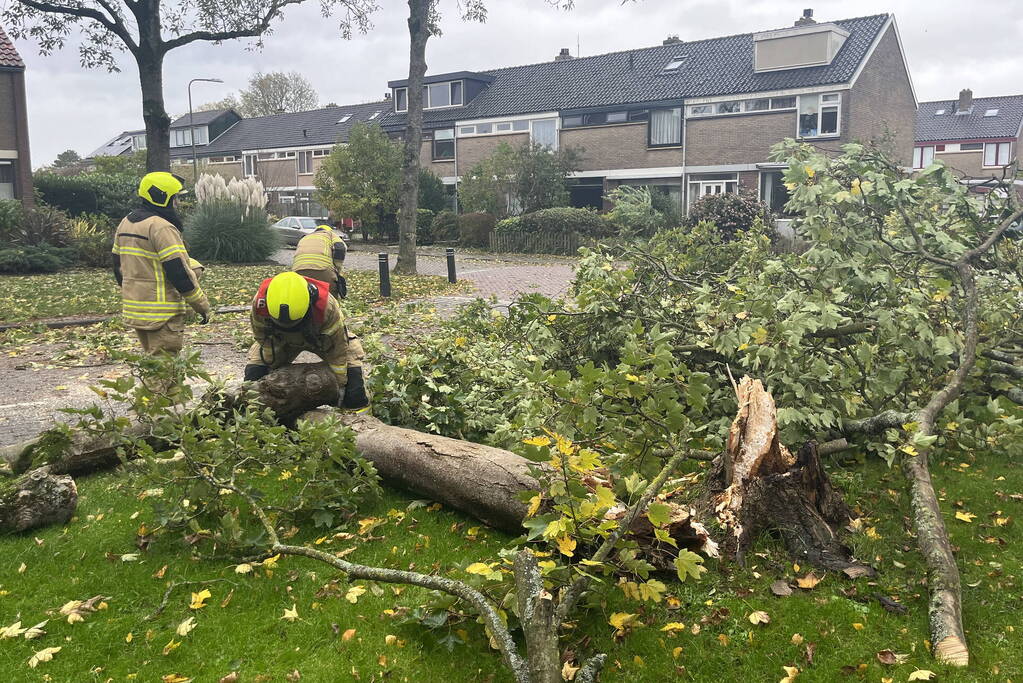 Brandweer zaagt omgevallen boom in stukken