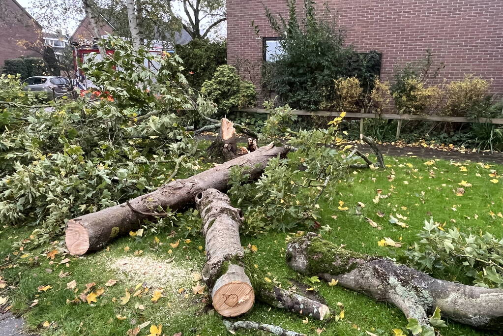 Brandweer zaagt omgevallen boom in stukken