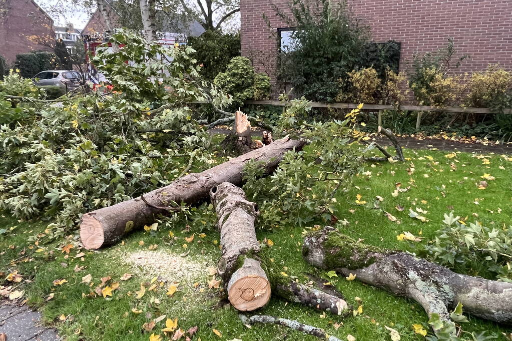 Brandweer zaagt omgevallen boom in stukken