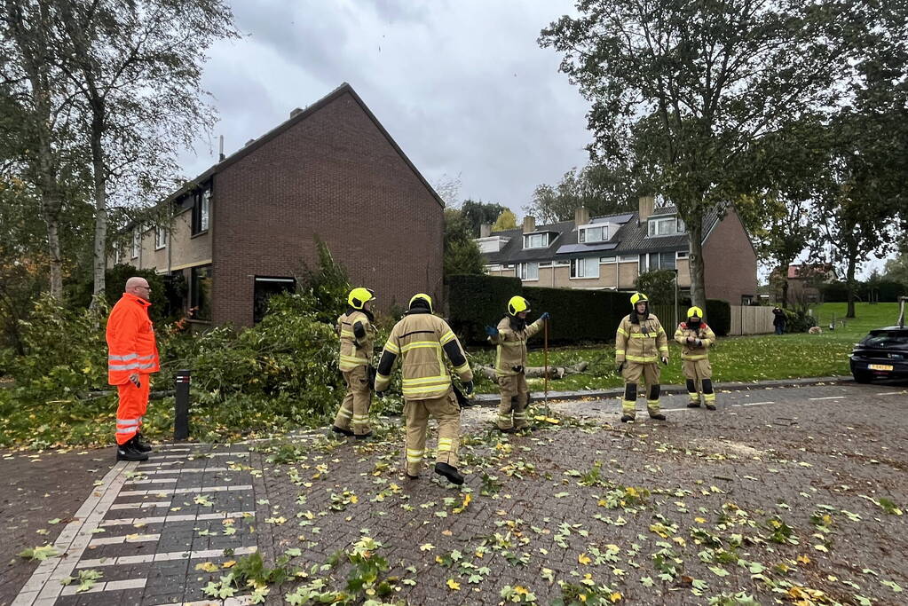 Brandweer zaagt omgevallen boom in stukken