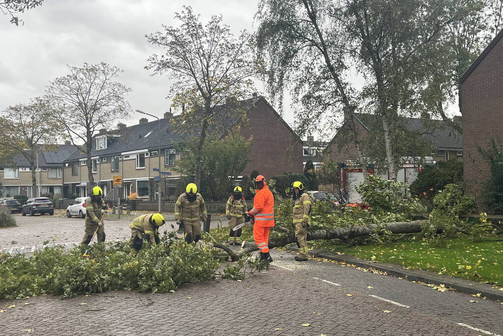 Brandweer zaagt omgevallen boom in stukken