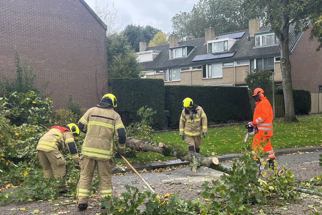 Brandweer zaagt omgevallen boom in stukken