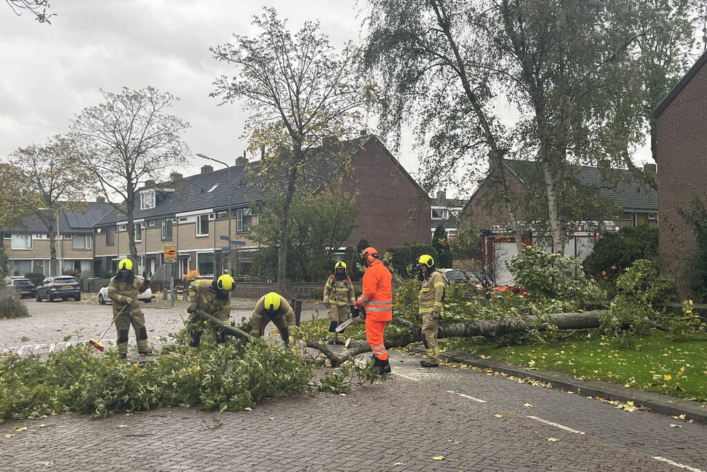 Brandweer zaagt omgevallen boom in stukken