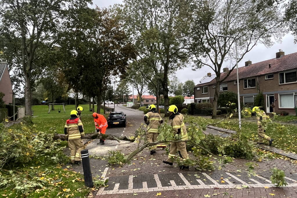 Brandweer zaagt omgevallen boom in stukken