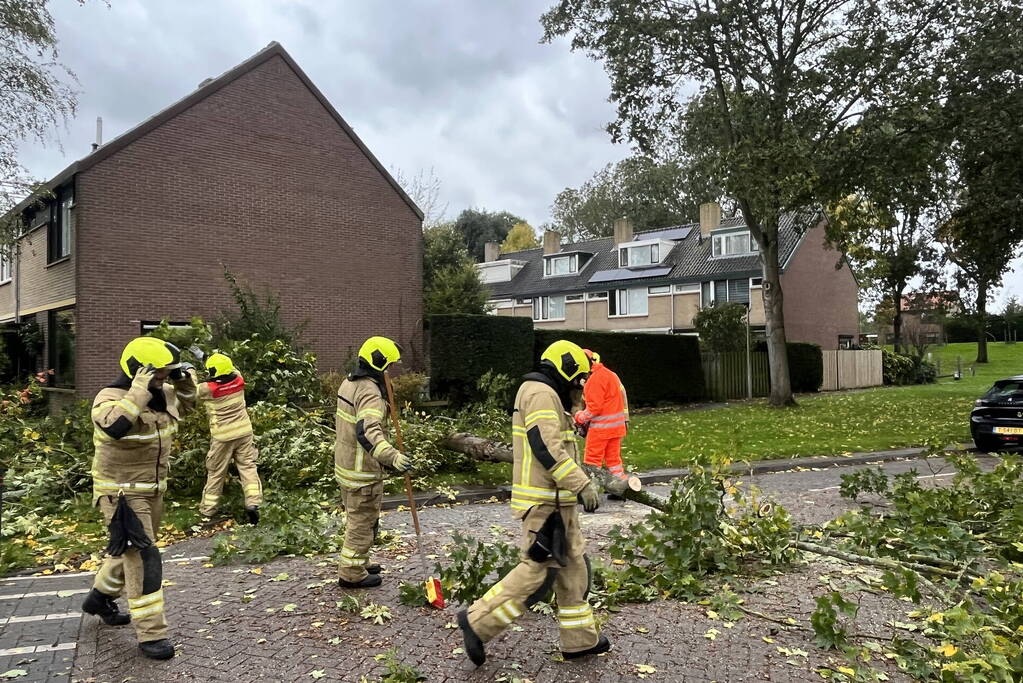 Brandweer zaagt omgevallen boom in stukken