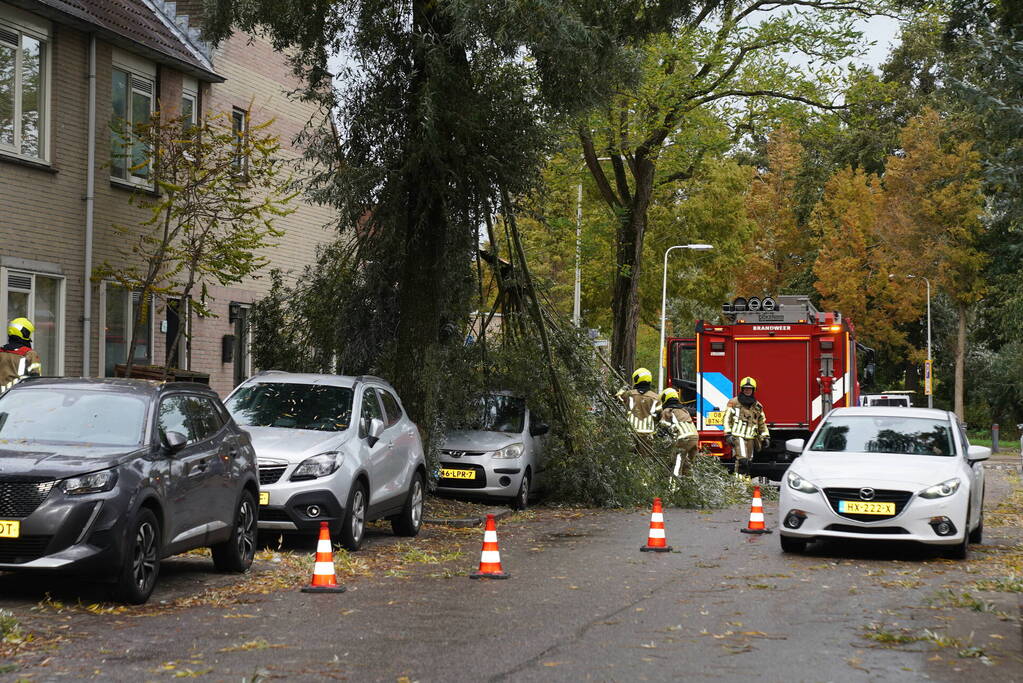 Grote loshangende tak komt boven op personenauto terecht