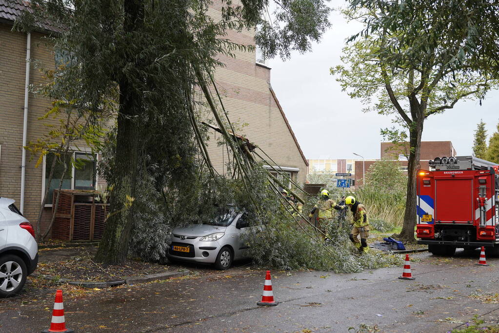 Grote loshangende tak komt boven op personenauto terecht