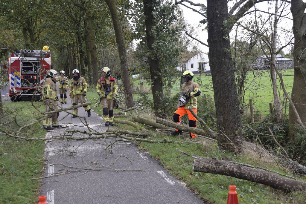 Meerdere bomen over de provinciale weg