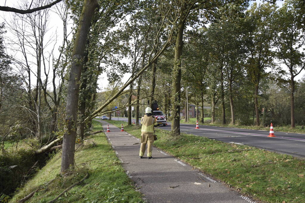 Meerdere bomen over de provinciale weg