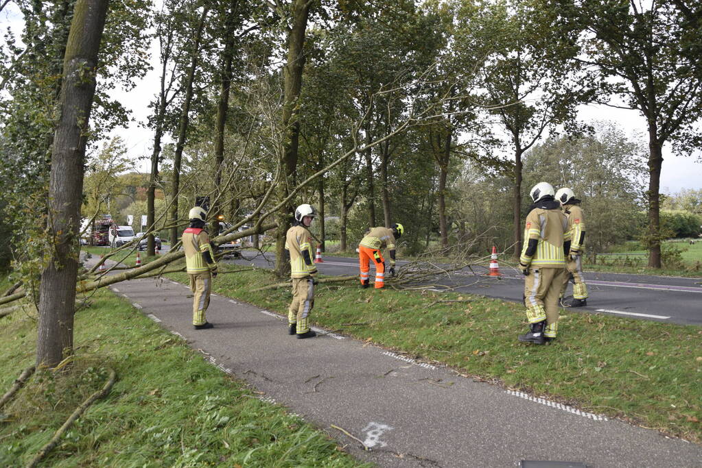 Meerdere bomen over de provinciale weg