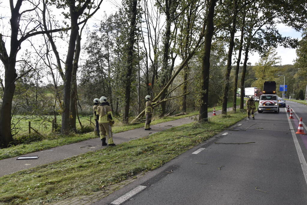 Meerdere bomen over de provinciale weg