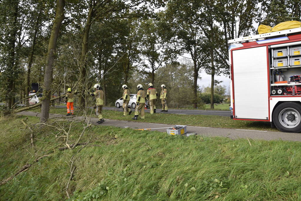 Meerdere bomen over de provinciale weg