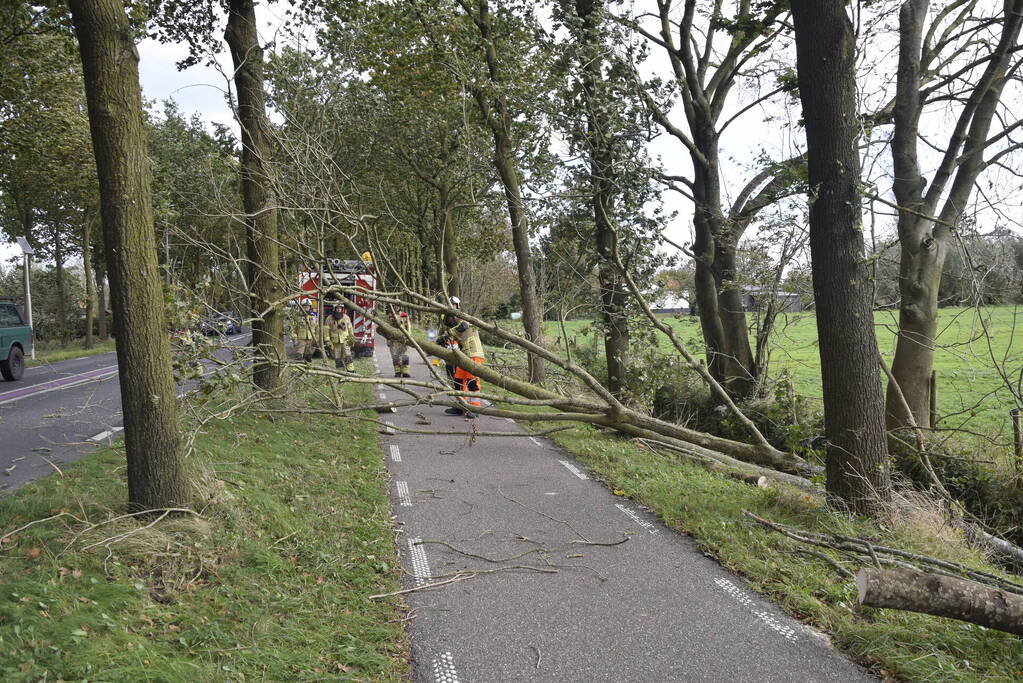 Meerdere bomen over de provinciale weg