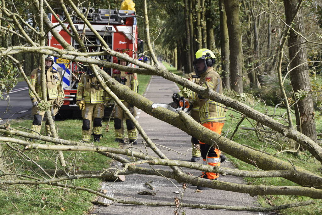 Meerdere bomen over de provinciale weg