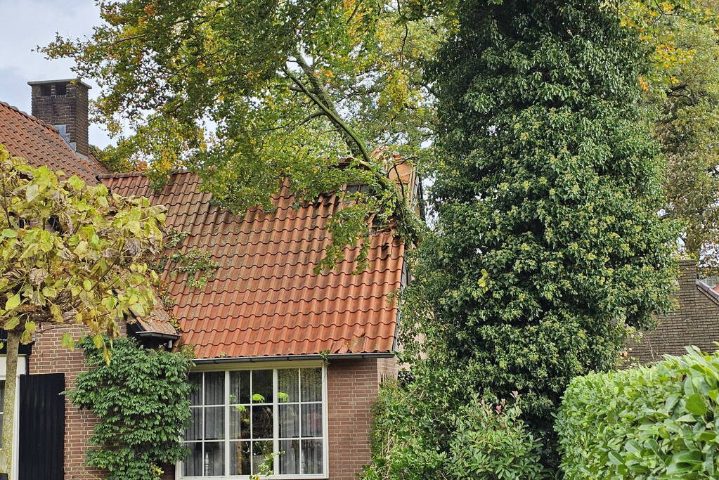 Forse schade aan woning door omgevallen boom