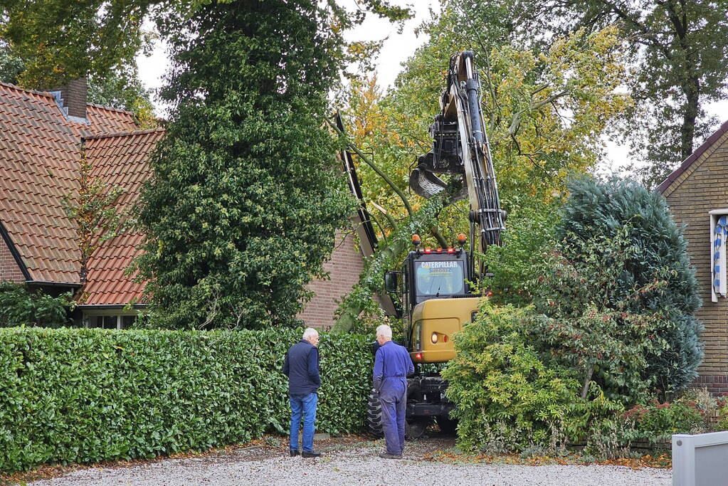 Forse schade aan woning door omgevallen boom