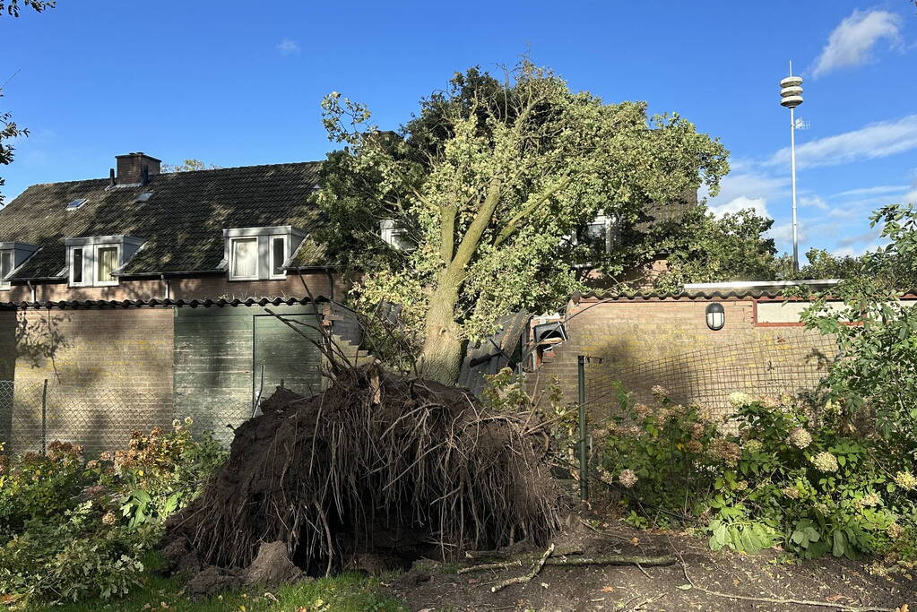 Fikse schade aan schuur door omvallende boom