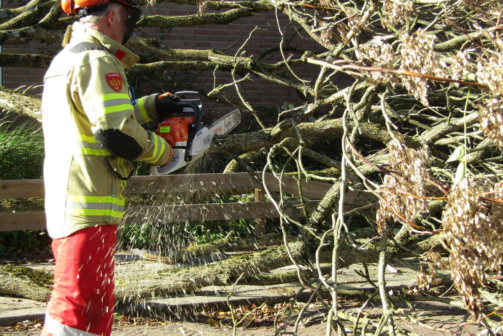 Omgewaaide boom beschadigd woning