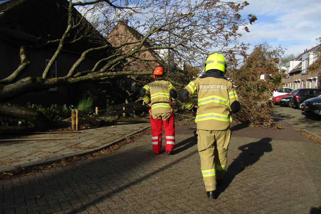 Omgewaaide boom beschadigd woning