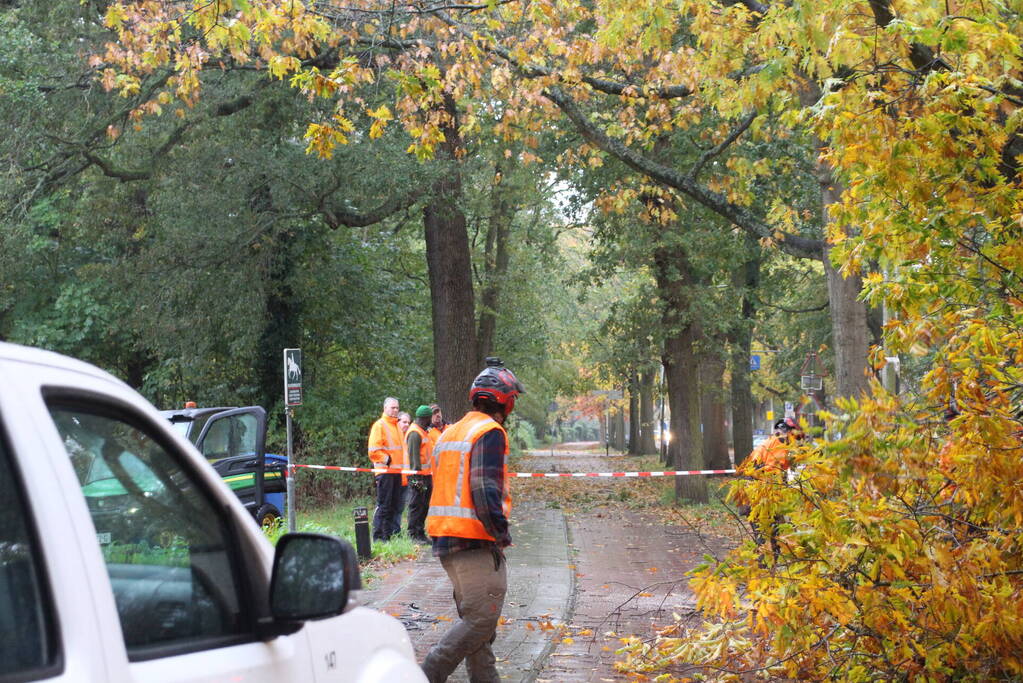 Weg gedeeltelijk dicht door gevaarlijk hangende tak