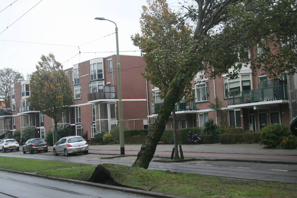 Boom valt op bovenleiding van tram