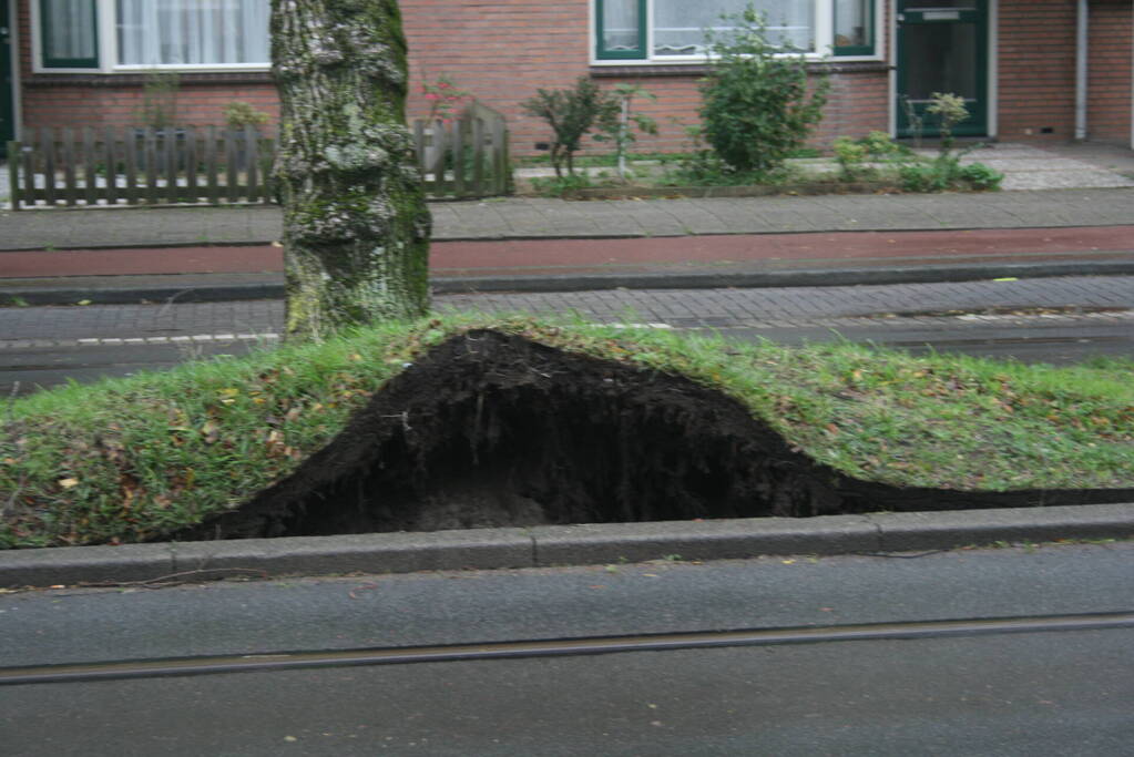 Boom valt op bovenleiding van tram