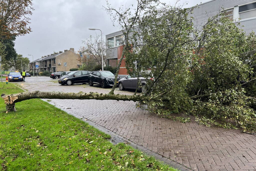 Omvallende boom beschadigd personenauto