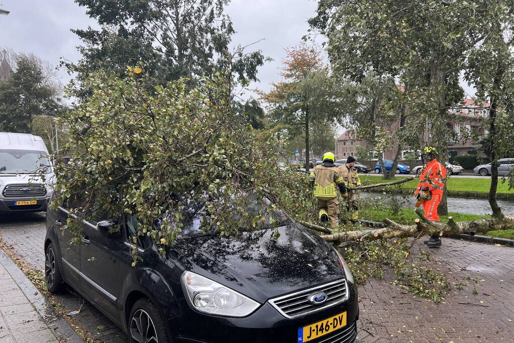 Omvallende boom beschadigd personenauto