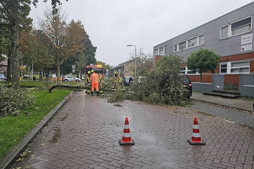 Omvallende boom beschadigd personenauto