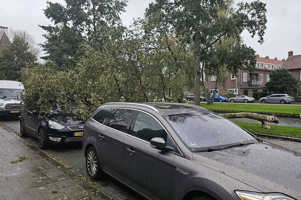 Omvallende boom beschadigd personenauto