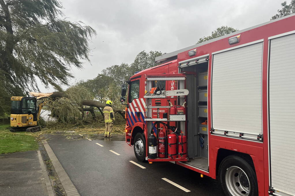 Grote boom val over weg