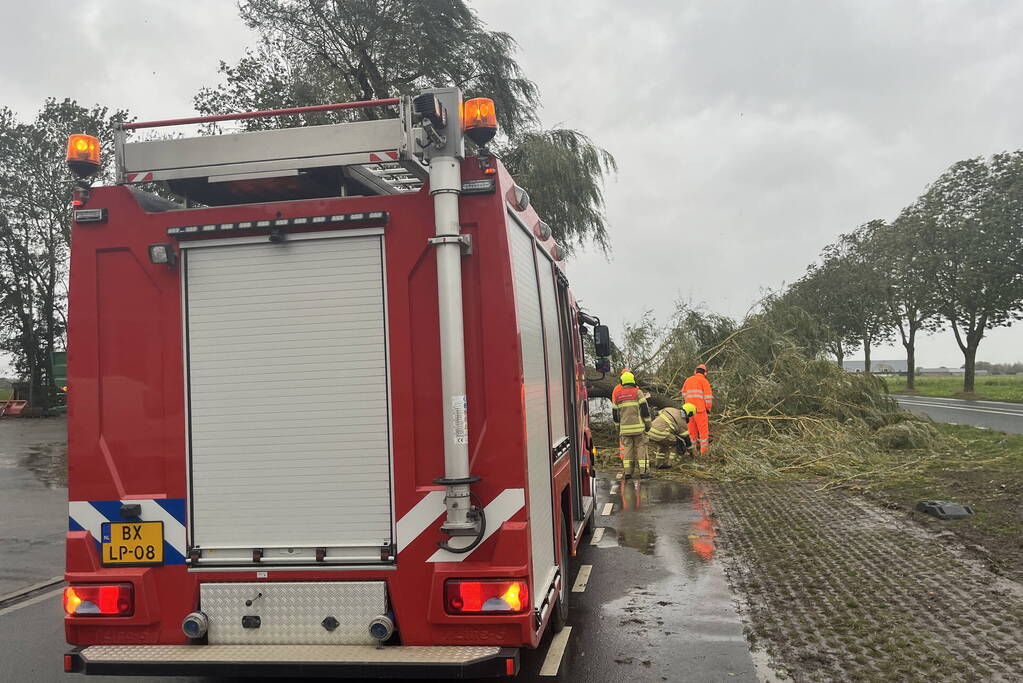 Grote boom val over weg