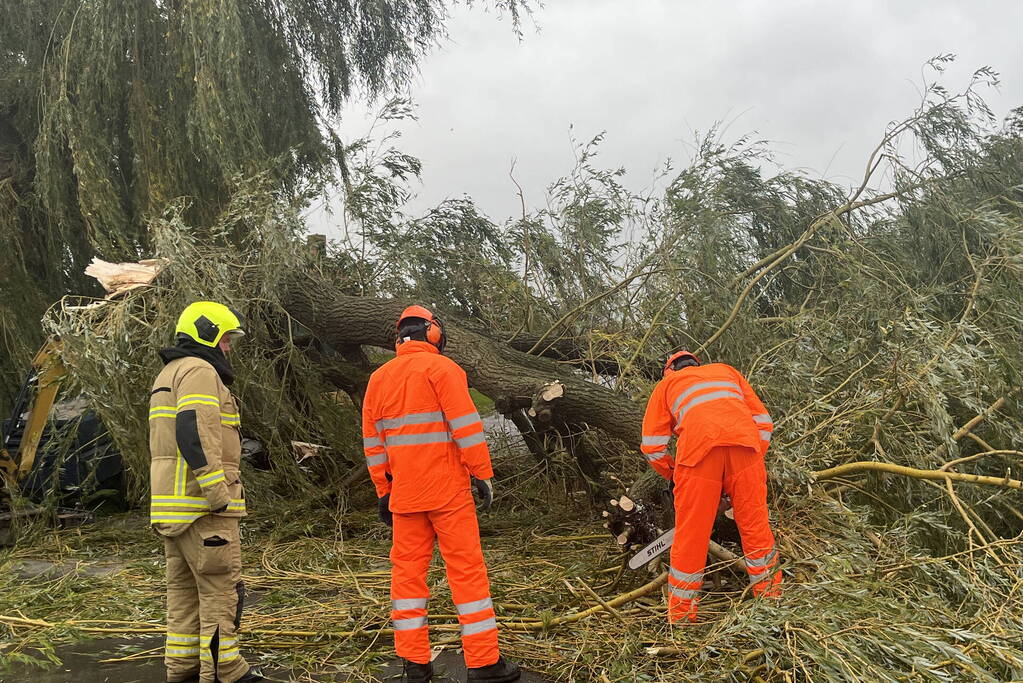 Grote boom val over weg