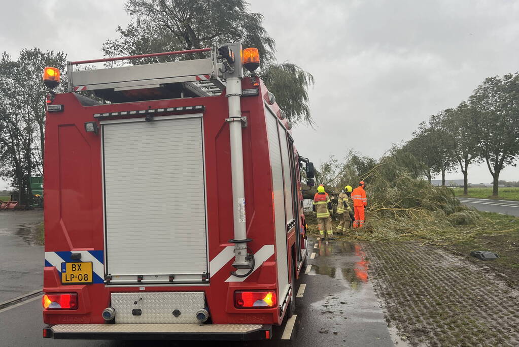 Grote boom val over weg